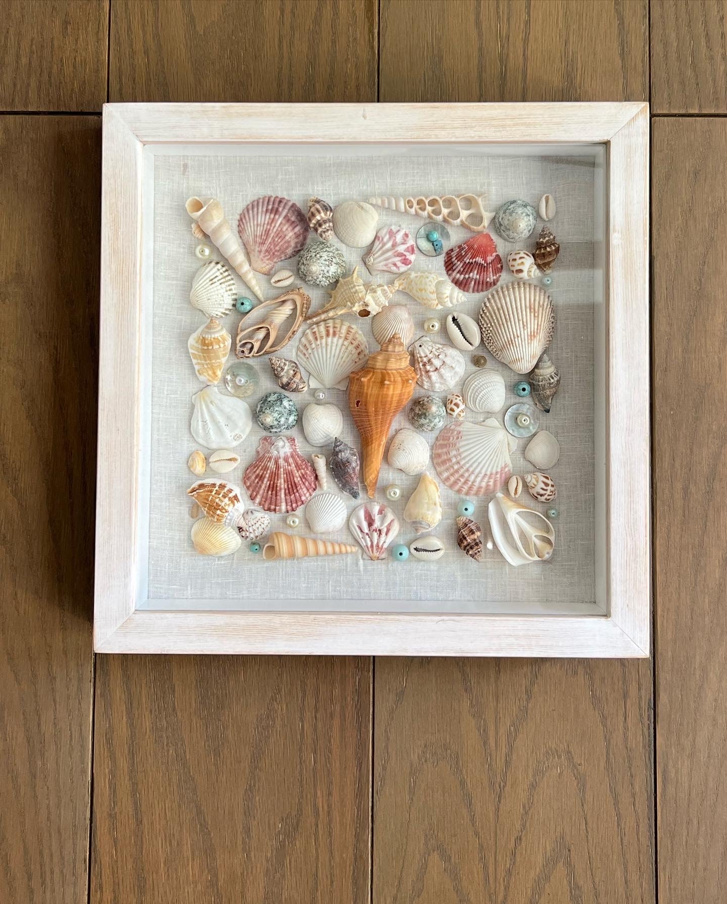 Sea shells deco