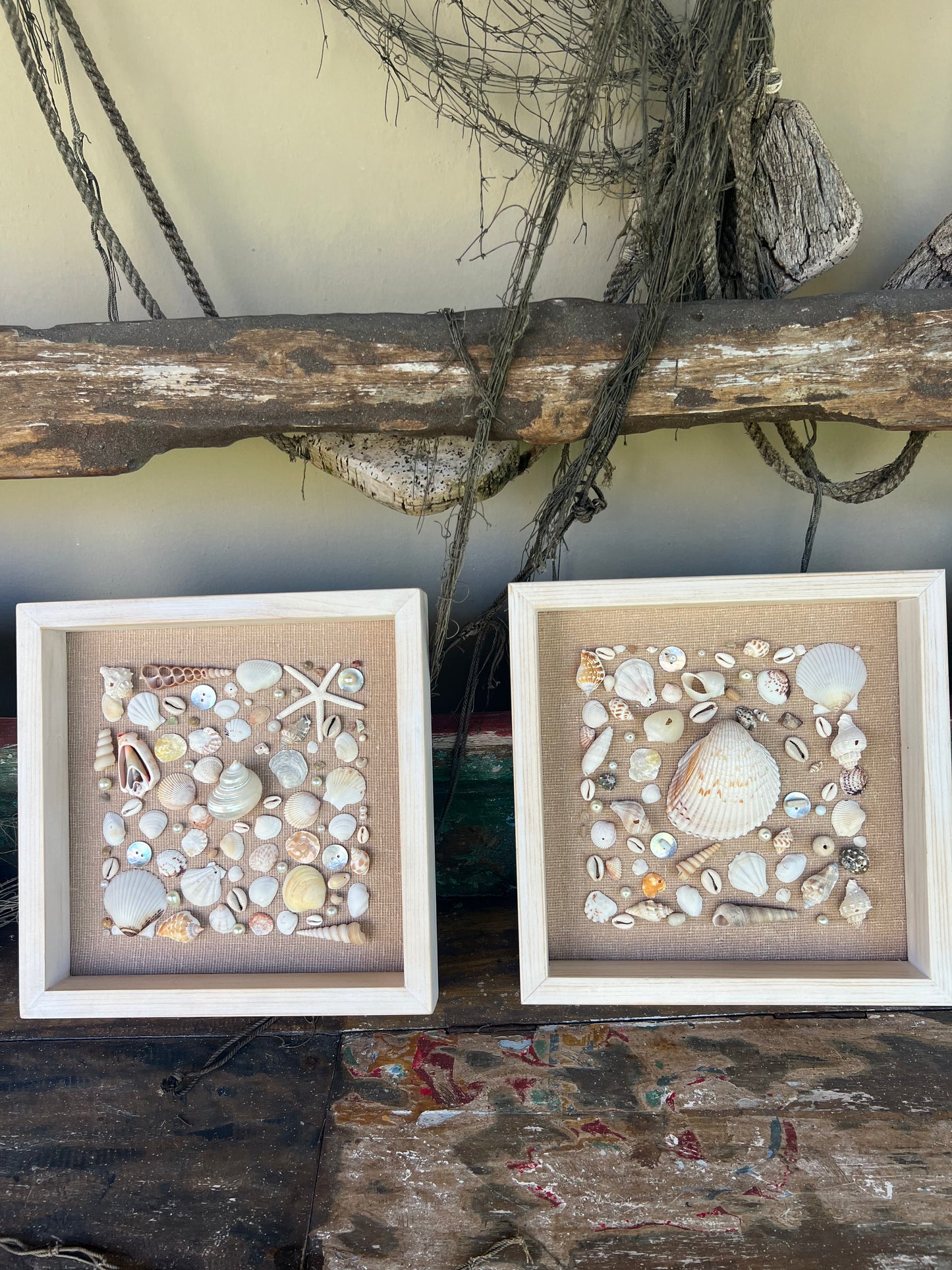 Sea shells deco