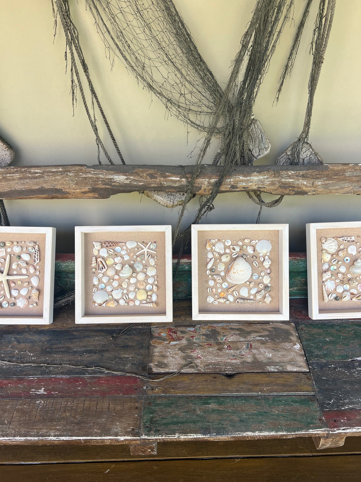 Sea shells deco