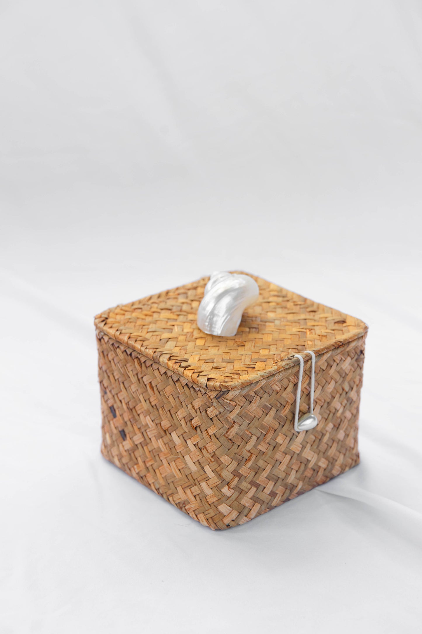 Caja Caracol Chica