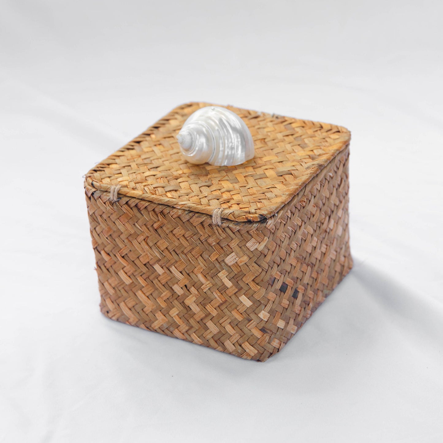 Caja Caracol Chica