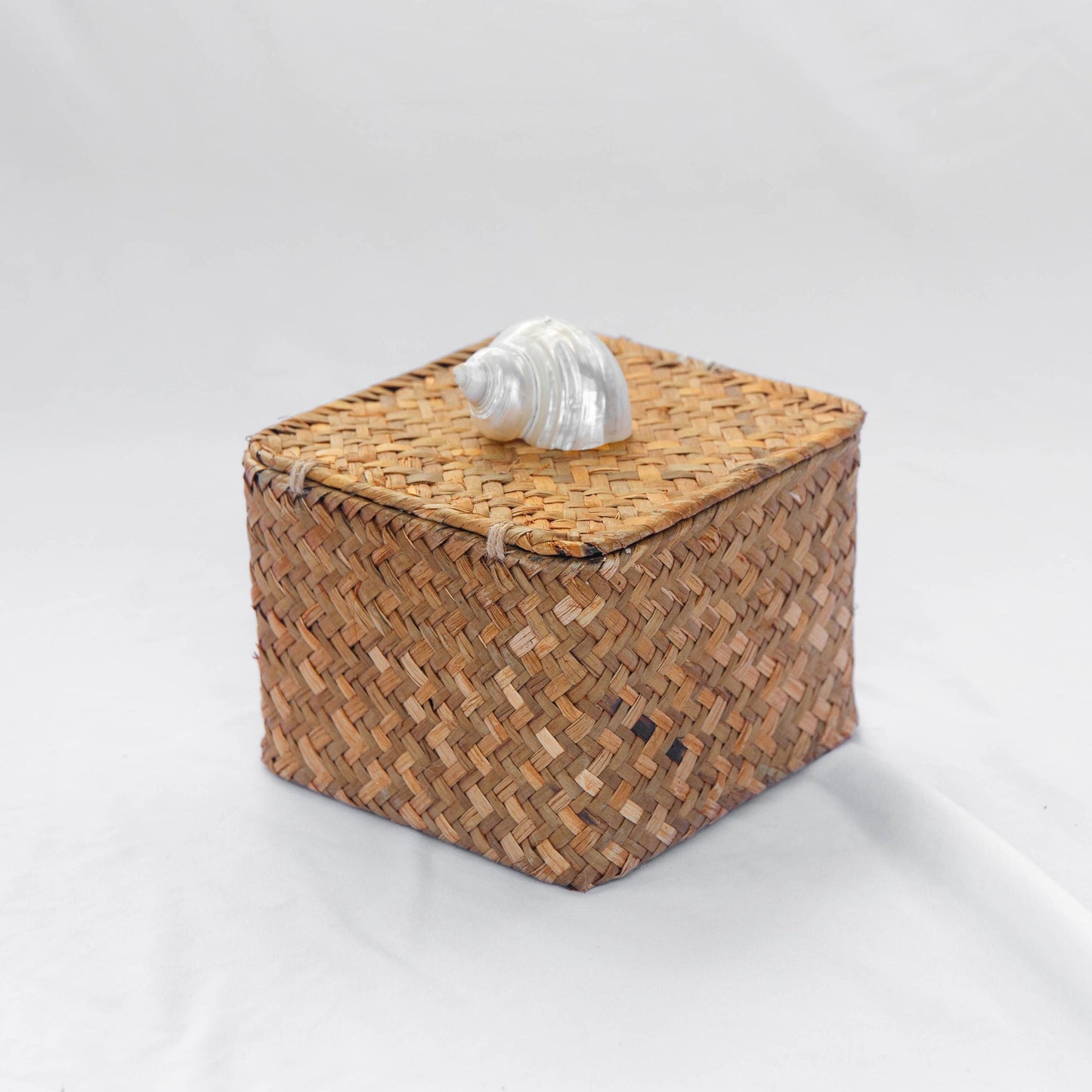 Caja Caracol Chica