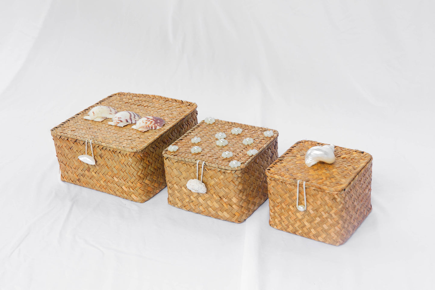Caja Caracol Chica