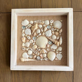 Sea shells deco