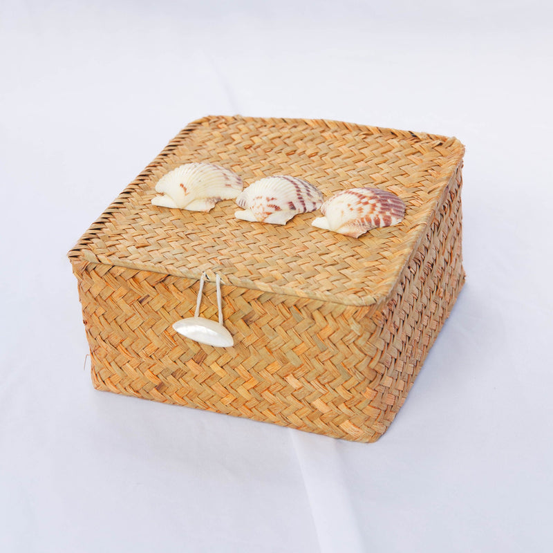 Caja de conchas abanico